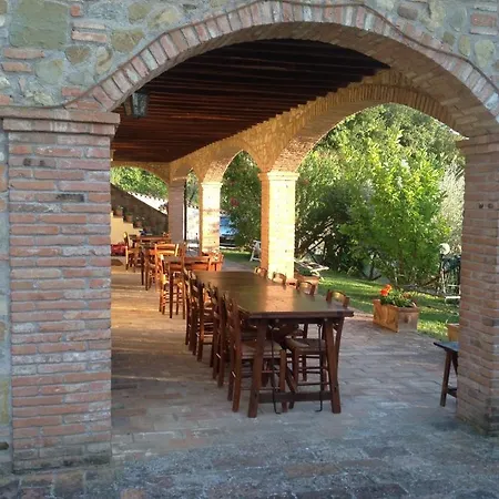 Costa Del Loco Collazzone