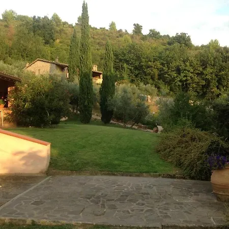 Costa Del Loco *
