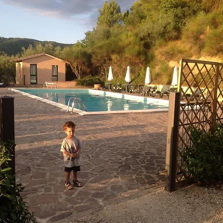 Costa Del Loco Collazzone